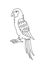 Ara macaws parrots bird. Editable outline stroke. Vector line illustration.