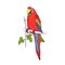 Ara parrot, tropical bird of colorful plumage. Exotic macaw with multicolored feathers. South jungle parakeet sitting on