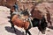 Arab bedouin guide riding in the ancient city of Petra, Jordan