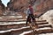 Arab bedouin guide riding in the ancient city of Petra, Jordan