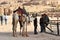 Arab bedouin guides with camels in the ancient city of Petra