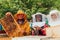 Arab investors checking the quality of honey on a large bee farm in which they have invested their money. The concept of