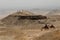 An Arab man leads camels through the desert. The Giza Plateau. T