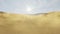 Arab man walks through the desert, sand, and dust rise from the sand dunes, 4K