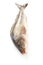 Arabesque greenling, okhotsk atka mackerel, hokke