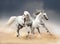 Arabian and andalusian horses running in desert