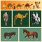 Arabian animals set, vector image in realistic style