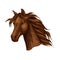 Arabian brown horse race sport emblem