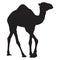 Arabian camel dromedary silhouette vector isolated illustration