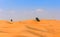 Arabian desert