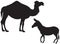 Arabian domestic animal silhouettes