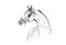 Arabian horse pencil sketch in motion in vector format