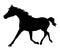 Arabian Horse running silhouette ~