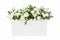 Arabian jasmine Artificial flowers in white plastic vase isolate