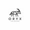 Arabian oryx logo graphic inspiration