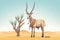 arabian oryx standing near a lone desert palm