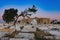 Arabic cemetery next to Ribat in Monastir, Tunisia