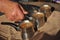 Arabic coffee brewed in a brass metal crucible in hot sand on one of the street stalls in Aqaba, Jordan. Aroma of coffee with