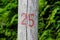 Arabic figure 25 twenty five painted with red on a wooden pole