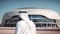 Arabic man in front of a modern business building in Dubai, UAE