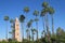 Arabic mosque minaret among the palm trees