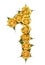 Arabic numeral 1, one, from yellow flowers of rose, isolated on