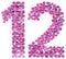 Arabic numeral 12, twelve, from flowers of lilac, isolated on wh