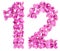 Arabic numeral 12, twelve, from flowers of viola, isolated on wh