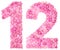 Arabic numeral 12, twelve, from pink forget-me-not flowers, isol