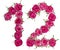 Arabic numeral 12, twelve, from red flowers of rose, isolated on