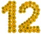 Arabic numeral 12, twelve, from yellow flowers of buttercup, is