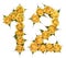 Arabic numeral 12, twelve, from yellow flowers of rose, isolated