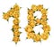 Arabic numeral 18, eighteen, from yellow flowers of rose, isolated on white background