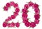 Arabic numeral 20, twenty, from red flowers of rose, isolated on