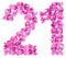 Arabic numeral 21, twenty one, from flowers of viola, isolated o