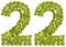 Arabic numeral 22, twenty two, from green peas, isolated on whit