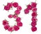 Arabic numeral 31, thirty one, from red flowers of rose, isolate