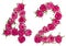 Arabic numeral 42, forty two, from red flowers of rose, isolated