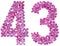 Arabic numeral 43, forty three, from flowers of lilac, isolated