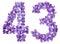 Arabic numeral 43, forty three, from flowers of viola, isolated