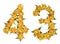 Arabic numeral 43, forty three, from yellow flowers of rose, iso