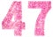 Arabic numeral 47, forty seven, from pink forget-me-not flowers,