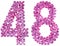 Arabic numeral from 48, forty eight, flowers of lilac, isolated