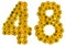 Arabic numeral 48, forty eight, from yellow flowers of buttercup