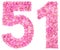 Arabic numeral 51, fifty one, from pink forget-me-not flowers, i