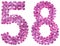 Arabic numeral 58, fifty eight, from flowers of lilac, isolated