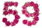 Arabic numeral 59, fifty nine, from red flowers of rose, isolate