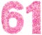 Arabic numeral 61, sixty one, from pink forget-me-not flowers, i