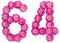 Arabic numeral 64, sixty four, from flowers of chrysanthemum, is