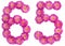 Arabic numeral 65, sixty five, from flowers of chrysanthemum, is